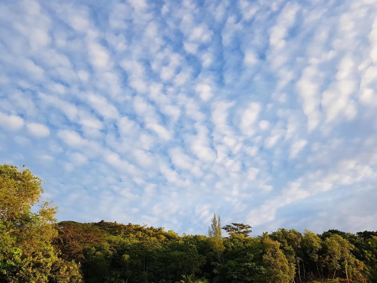 Bougainvillas Seychelles Anse Royale Kültér fotó